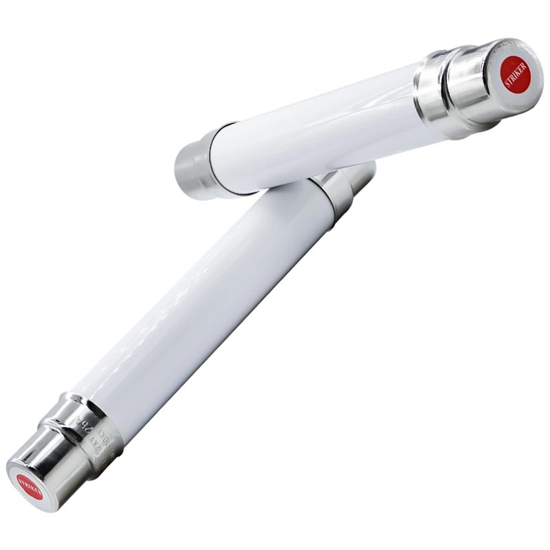 Interruttore automatico con fusibile per corrente ad alta tensione XRNP